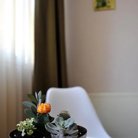 Apartment Like Brasov