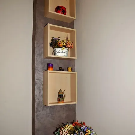 Apartment Like Brasov